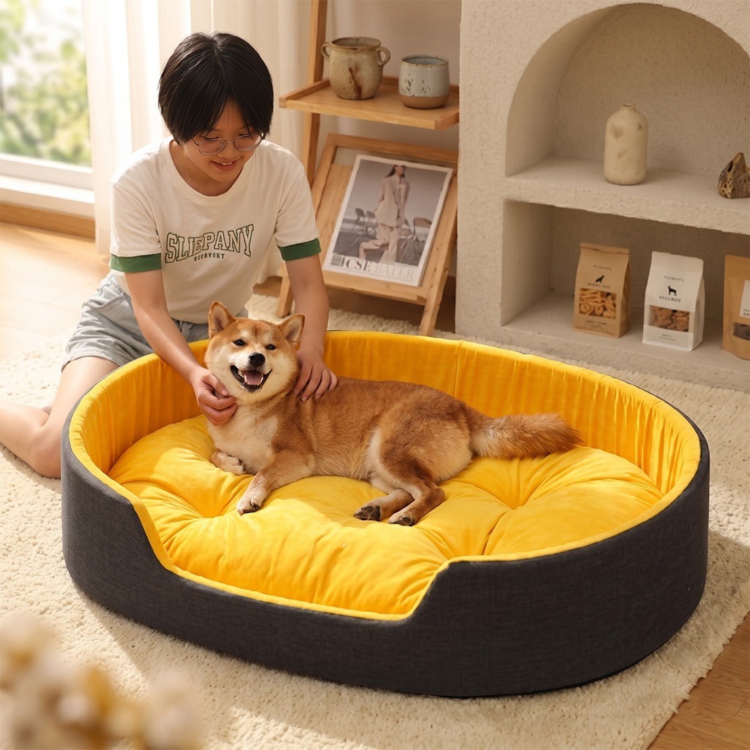 Person petting a dog on a yellow and black pet bed in a cozy room.