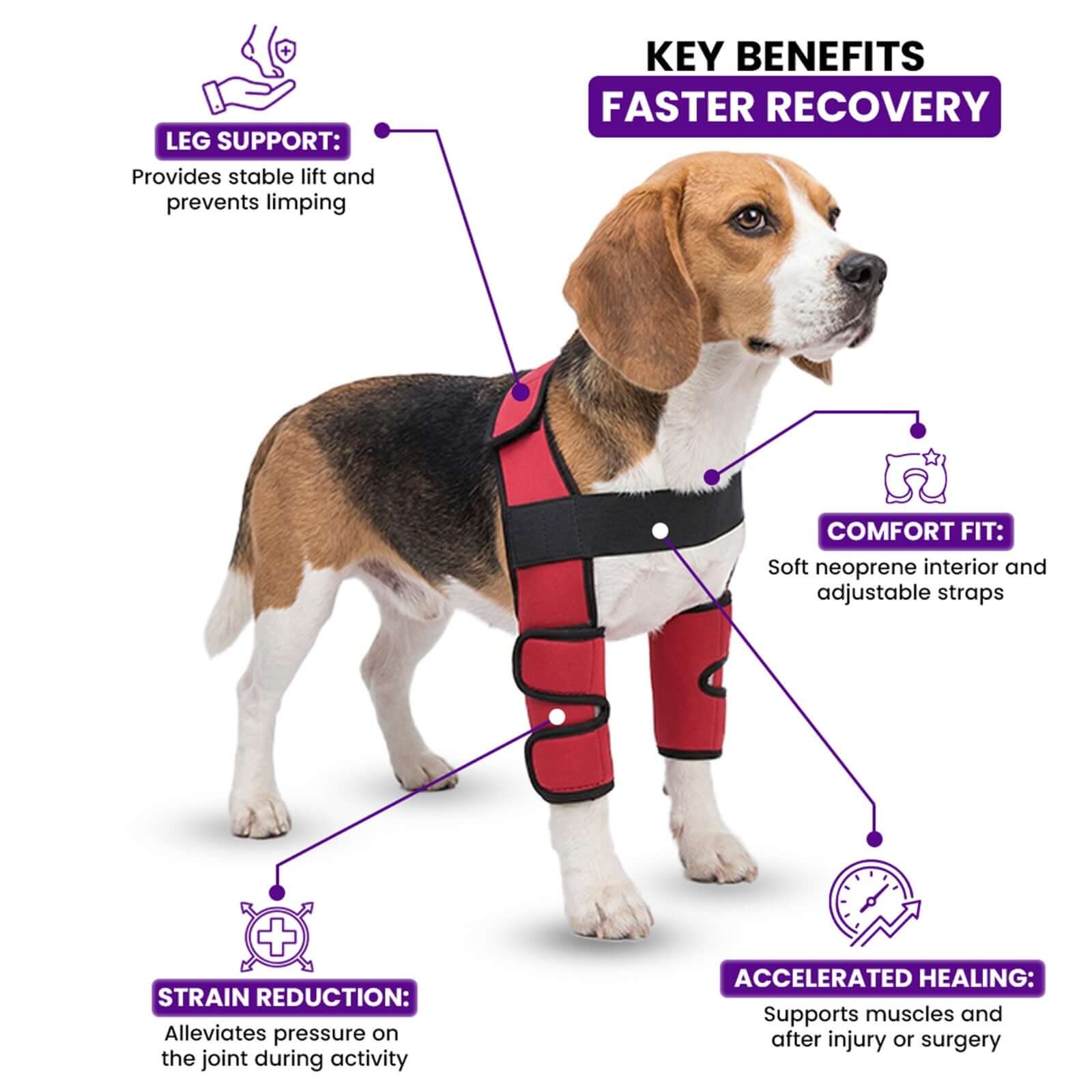 Breathable neoprene dog leg brace for joint pain relief – Catdogra