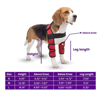 Dog knee support brace post-surgery recovery all sizes – Catdogra