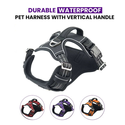 No-pull waterproof dog harness with vertical handle – Catdogra