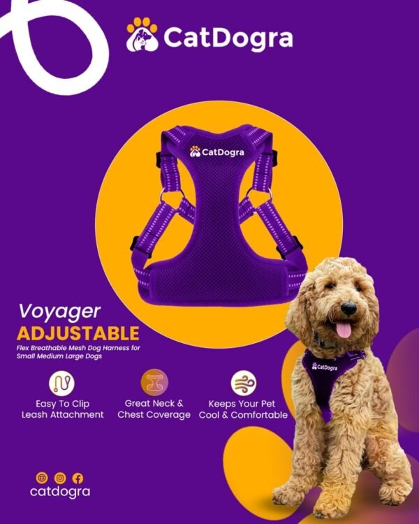 Voyager adjustable dog harness