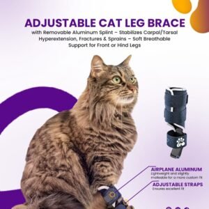 Adjustable cat leg brace