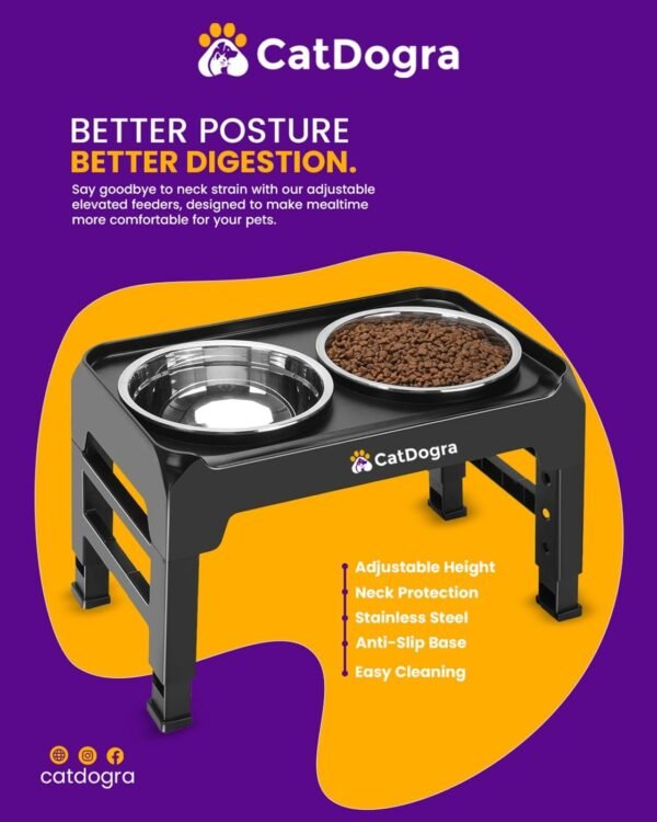 Elevated stainless steel dog bowls
