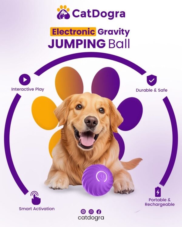 Electronic gravity jumping ball pet toy