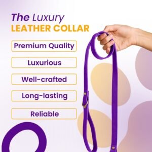 Luxury leather dog collar and leash set