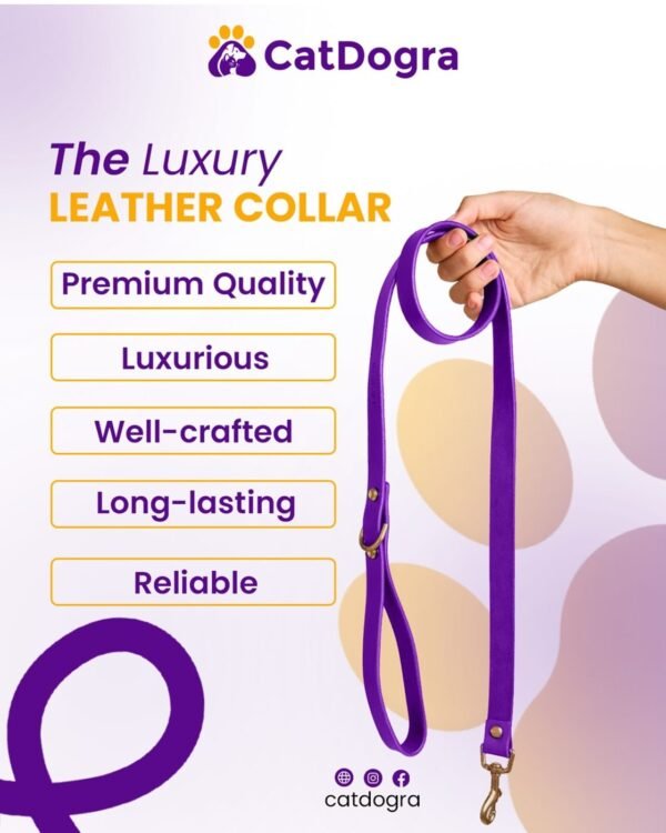 Luxury leather dog collar and leash set